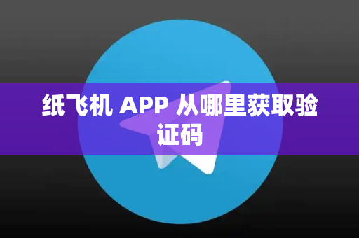 纸飞机 APP 从哪里获取验证码